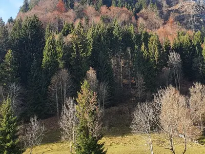 Blick aus der Wohnung zum Kienberg
