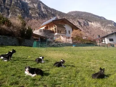 Ferienwohnung für 2 Personen (45 m²) in Pfunds 9/10