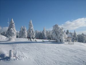 Almberg im Winter