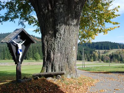 Kreuz mit ca. 400 Jahre alter Linde