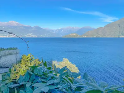 Seeblick Seeblick