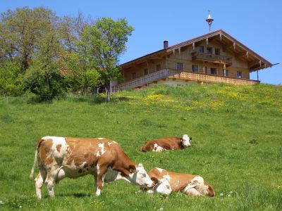 Urlaub auf dem Bauernhof