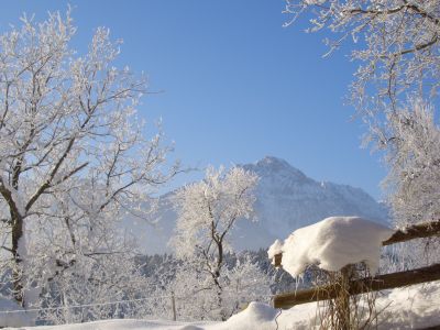 Winterstimmung vor dem Haus