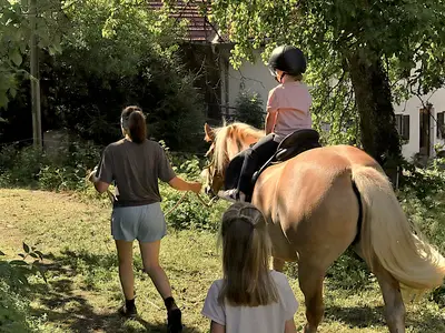 Geführtes Ponyreiten