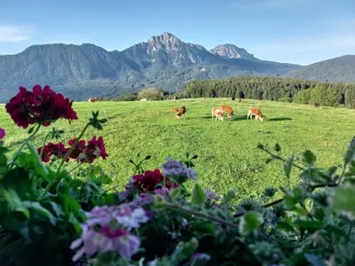 Ferienwohnung für 2 Personen (37 m²) in Piding 6/10