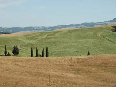 ViewSummer ViewSummer