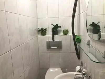 Ferienwohnung für 4 Personen (70 m²) in Piesport 6/10