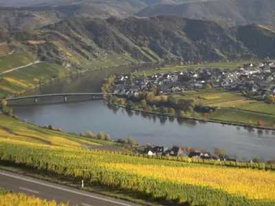 Piesport im Herbst