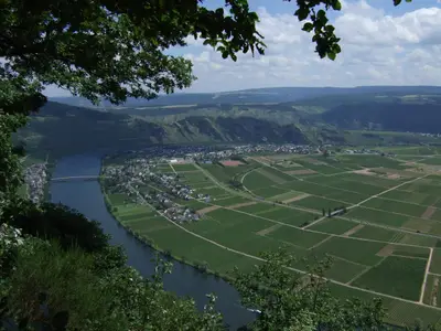 Piesport von oben