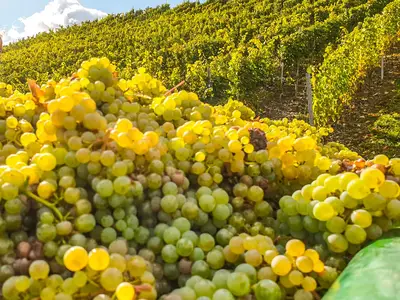 20201010_131608000_iOS