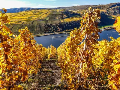 20201101_144604000_iOS