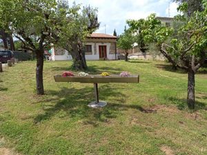 23988563-Ferienwohnung-6-Piombino-300x225-2