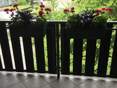 Ferienwohnung für 2 Personen (75 m²) in Pirna 10/10