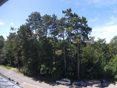 Ferienwohnung für 5 Personen (50 m²) in Pirna 10/10