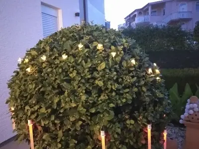 Ferienwohnung für 5 Personen in Pirovac 8/10
