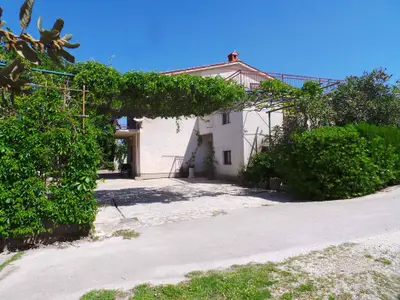 Ferienwohnung für 3 Personen (28 m²) in Pjescana Uvala 10/10