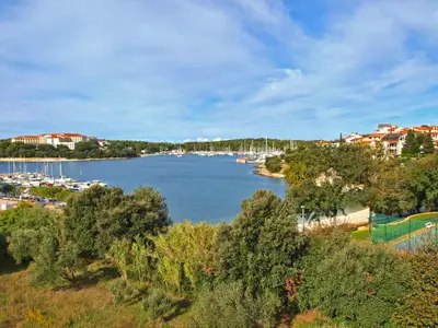 Ferienwohnung für 4 Personen (75 m²) in Pjescana Uvala 8/10