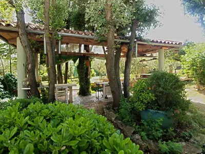 Ferienwohnung für 2 Personen (38 m²) in Pjescana Uvala 9/10