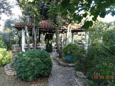 Ferienwohnung für 2 Personen (38 m²) in Pjescana Uvala 5/10