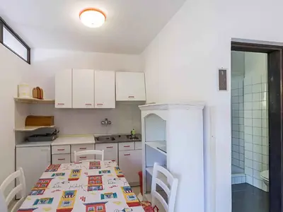 Ferienwohnung für 4 Personen (30 m²) in Pjescana Uvala 7/10