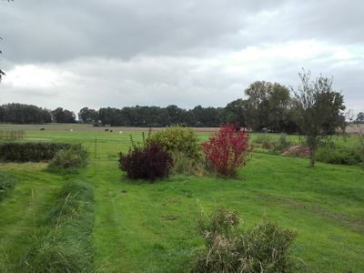 Blick in Richtung Koppeln