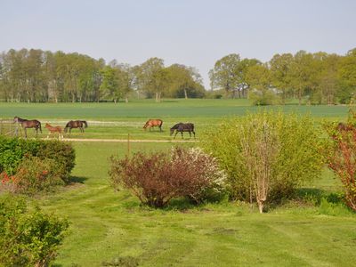 Koppelblick