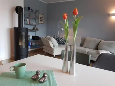 Kamin-/Ofen