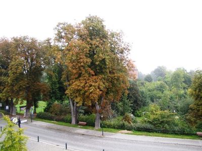 Ferienwohnung für 3 Personen (58 m²) in Plau am See 5/10