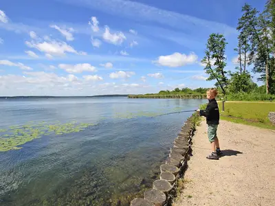AreaSummer1KM