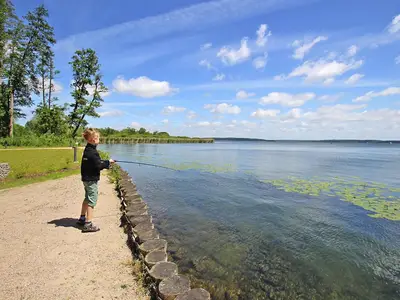AreaSummer1KM