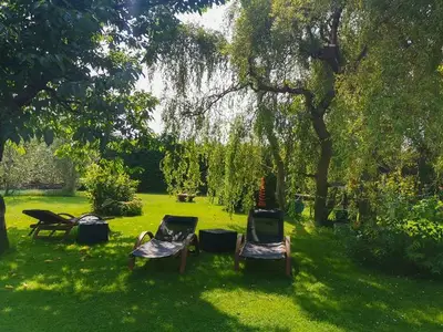 Ferienwohnung für 3 Personen (50 m²) in Karow 9/10
