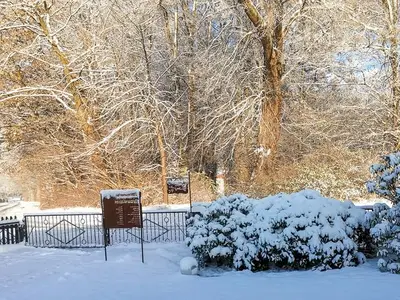 Ferienwohnung für 3 Personen (50 m²) in Karow 5/10