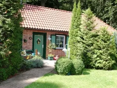 Ferienwohnung für 4 Personen (56 m²) in Plau am See 10/10