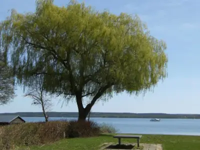 Ferienwohnung für 6 Personen (93 m²) in Plau am See 2/10