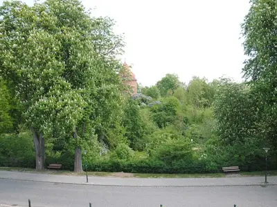 Ferienwohnung für 3 Personen (58 m²) in Plau am See 3/10
