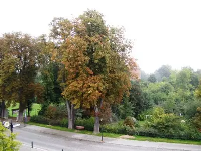Ferienwohnung für 3 Personen (58 m²) in Plau am See 5/10