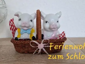 Ferienwohnung für 4 Personen (44 m²) in Plauen