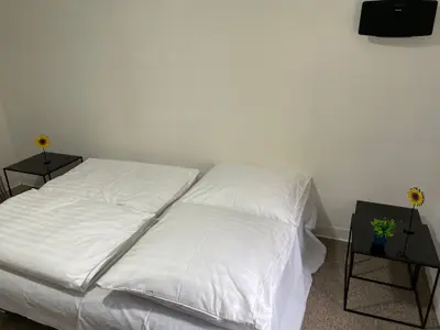 Ferienwohnung für 6 Personen (40 m²) in Plauen 8/10