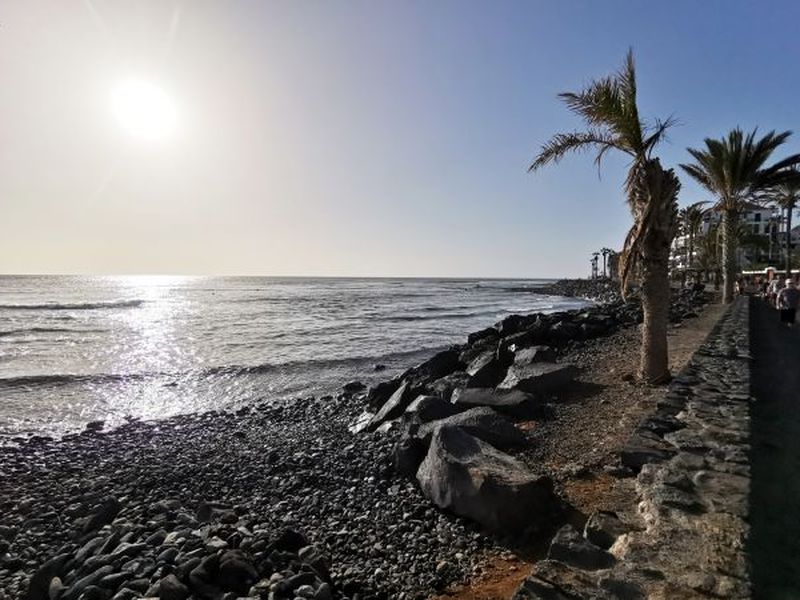 22796587-Ferienwohnung-3-Playa De Las Américas-800x600-1