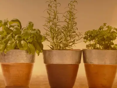 Ferienwohnung für 6 Personen in Pleinfeld 7/10