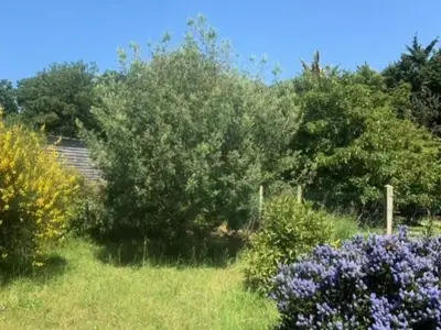 Ferienwohnung für 9 Personen (130 m²) in Pléneuf-Val André 4/10