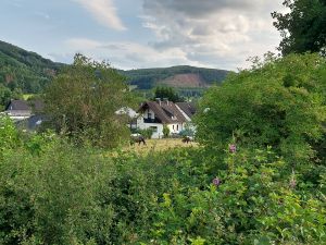 Ferienwohnung im Elsetal