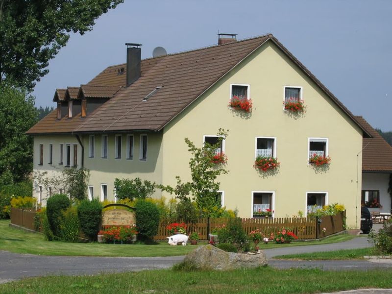 21728211-Ferienwohnung-4-Plößberg-800x600-1