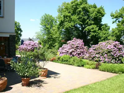 ExteriorSummer