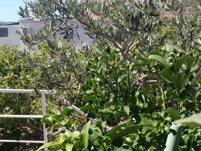 Ferienwohnung für 5 Personen in Podaca 7/10