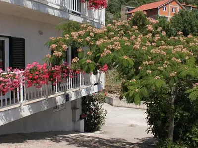 Ferienwohnung für 8 Personen in Podaca 7/10