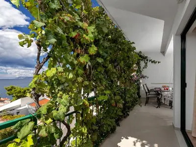 Ferienwohnung für 5 Personen in Podgora 10/10