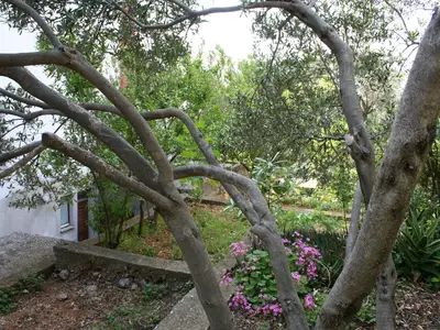 Bild 10
