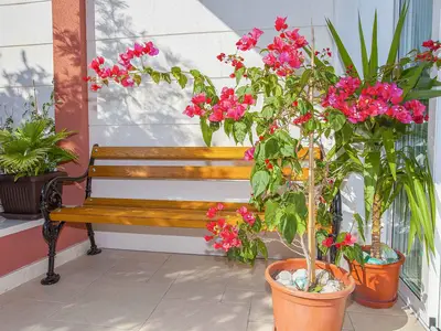 Ferienwohnung für 4 Personen (50 m²) in Podgora 8/10