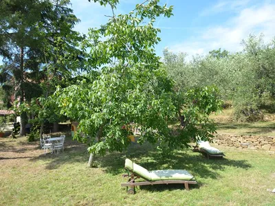Ferienwohnung für 6 Personen (80 m²) in Poggi 3/10